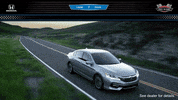GIF by Central Valley Honda Dealers
