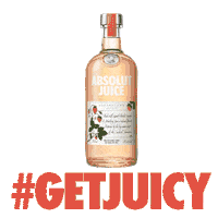 happy party Sticker by Absolut Vodka