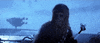 the empire strikes back chewie GIF by Star Wars