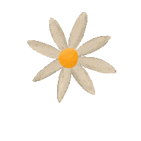 Summer Love Sticker