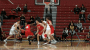 LafayetteLeopards dunk lafayette mens basketball leopards GIF
