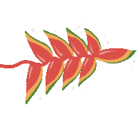 Cultura Flor Sticker by The Big Brown Eyes