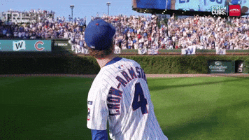 Chicago Cubs Sport GIF by MLB