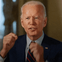 Election 2020 GIF by Joe Biden