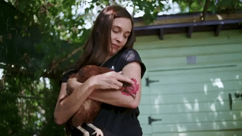 Chicken Hug GIF by Mercy For Animals