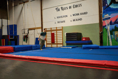 Exercise Flipping GIF by wade.photo
