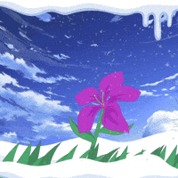 Flowe Winte GIF