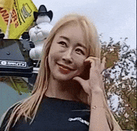 Model GIF