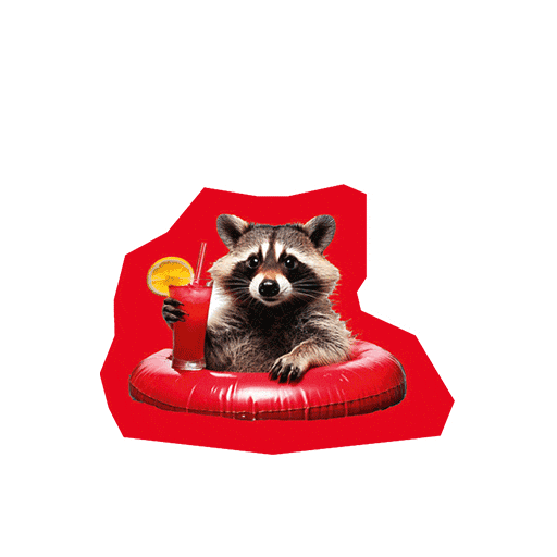 Cocktail Racoon Sticker by Deutscher Gewerkschaftsbund (DGB)
