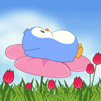 Happy Spring Day GIF by Pudgy Penguins