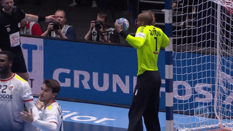 Ehf Euro GIF by EHF