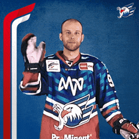 Eishockey GIF by Adler Mannheim