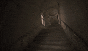 After Life Waiting GIF by Venice to Venice