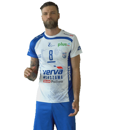 vervawarszawa volleyball applause pallavolo siatkowka Sticker