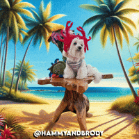 Vibing Self Expression GIF by HammyandBrody