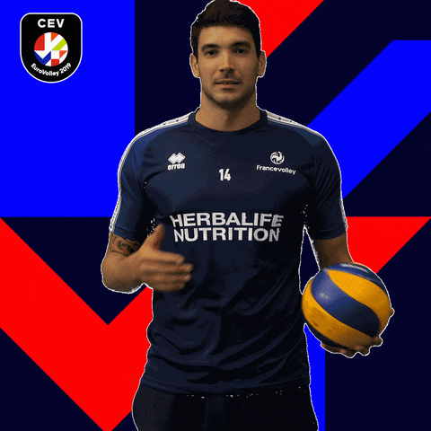 nicolas le goff volleyball GIF by EuroVolley2019Fr