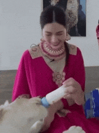 Lion Ling GIF