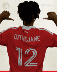 Chicago Fire Soccer GIF by Chicago Fire Football Club