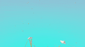 world vr GIF