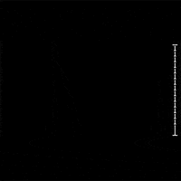 Art Loop GIF