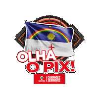 Sticker by Vamos Seminovos