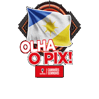 Sticker by Vamos Seminovos