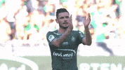 football applause GIF by AS Saint-Etienne