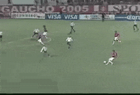 Conmebol Libertadores Colorado GIF by Sport Club Internacional