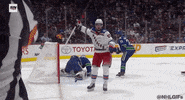 Happy Regular Season GIF by NHL