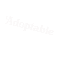Adopt A Dog Sticker by Good Vibes Dogtography