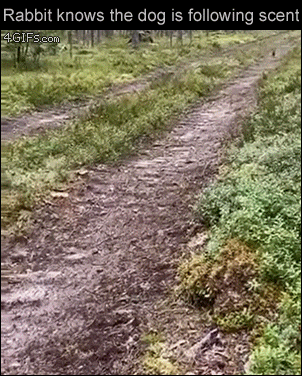 DailyDoseOfAwesome giphyupload GIF