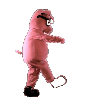 Ribs Sticker by Crazy Pig