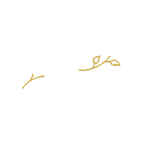 revuclinic revu revu klinika revu clinic revuclinic Sticker