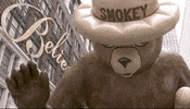 Macys Parade Happy Thanksgiving GIF by The 96th Macy’s Thanksgiving Day Parade
