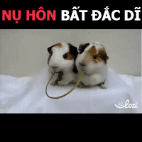 GIF by Lozi Singapore Co.