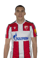Red Star Belgrade Sticker by FK Crvena zvezda