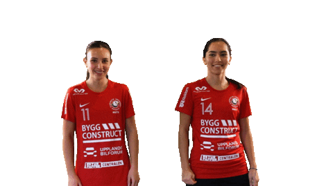 Floorball Salibandy Sticker by Storvreta IBK