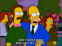 homer simpson GIF