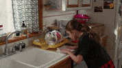 Ocd Americanhousewifeabc GIF by ABC Network