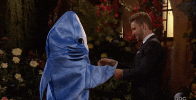 the bachelor alexis GIF by ABC Network
