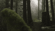 builder GIF by EchoBoom Sports