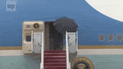 news donald trump umbrella GIF