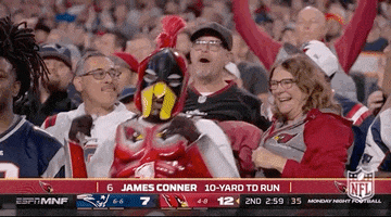 Arizona Cardinals Football GIF by NFL