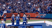 Buffalo Bills Football GIF by NFL