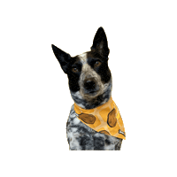 Cattle Dog Strider Sticker by Geekster Pets