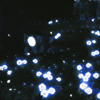 Black Butler Sebastian GIF