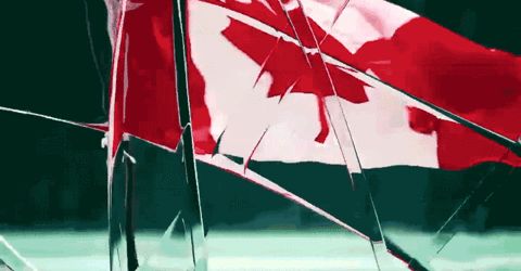 the beaverton GIF by Comedy