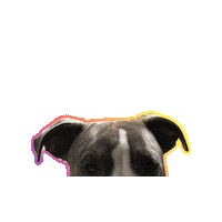 Genova Sticker by ICOC NE APP