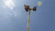 Park GIF by Linz News