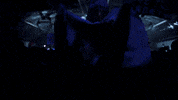 happy music festival GIF by Insomniac Events